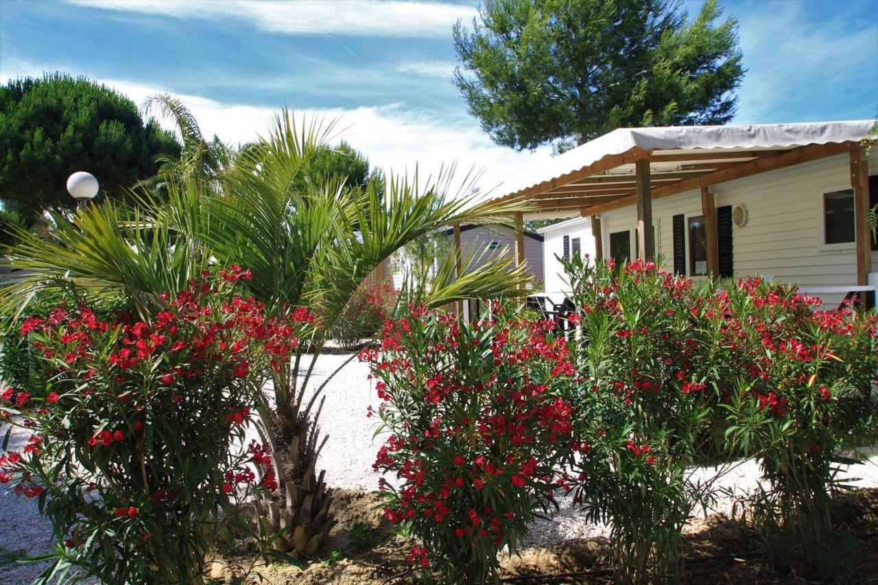 Camping Del Mar 10, Mobil Home Petit Paradis, 6 Personnes, Bord De Mer, Camping Del Mar Village Аржель-сюр-Мер Экстерьер фото